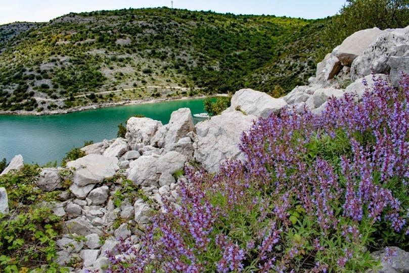 Sea View Villa Cala Royal Krnica Dış mekan fotoğraf